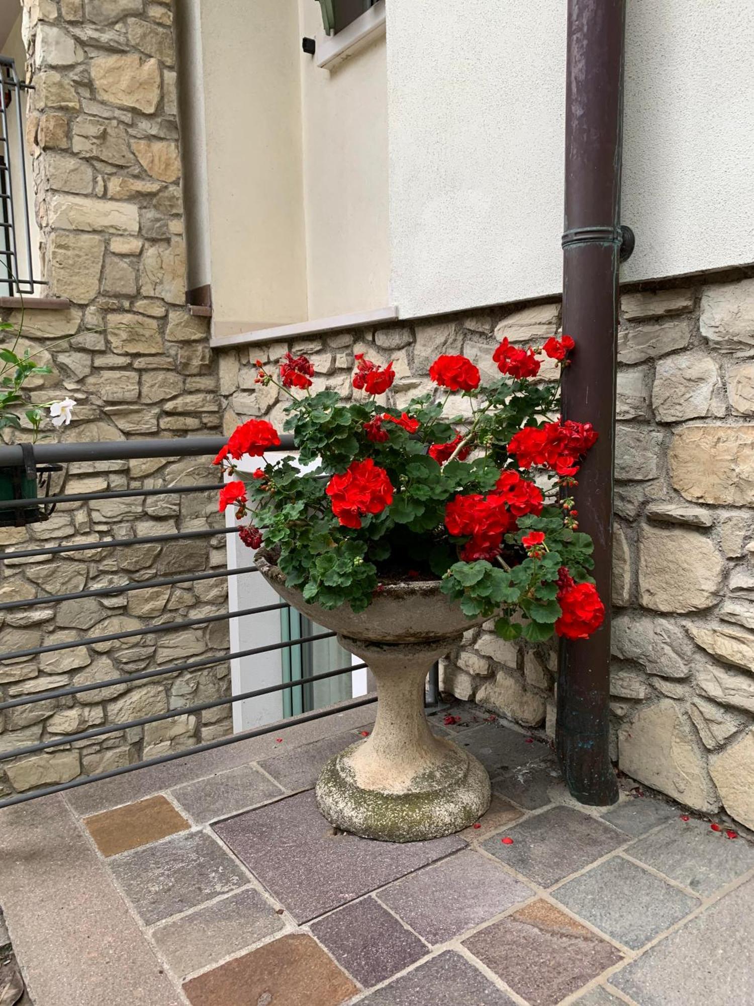 Agritur Stefenelli Country house
