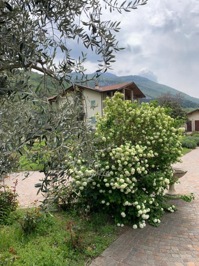 Agritur Stefenelli Torbole Sul Garda