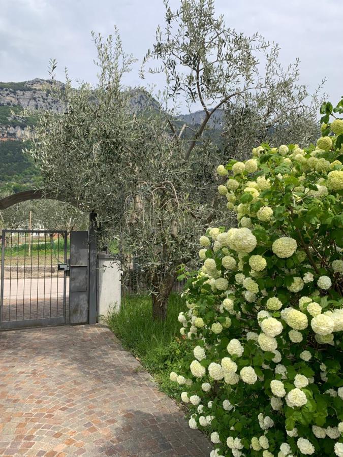 Country house Agritur Stefenelli *