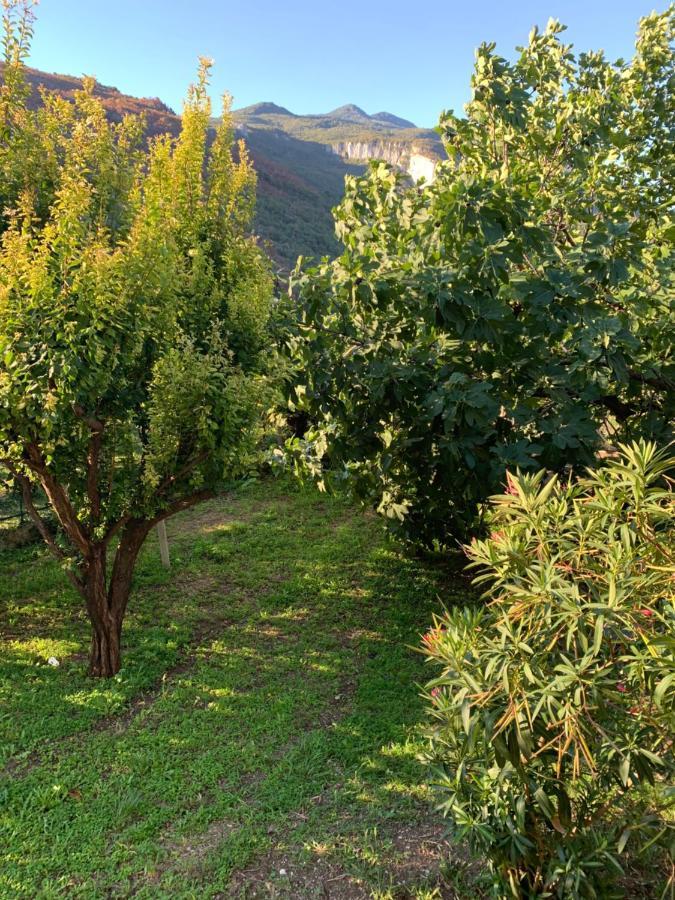 Agritur Stefenelli Country house