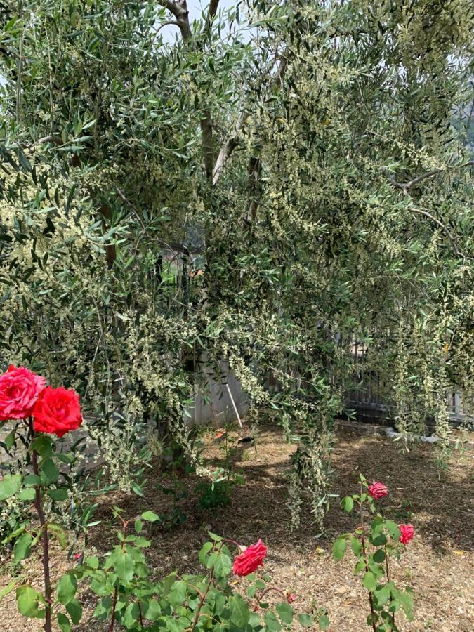 Agritur Stefenelli Country house